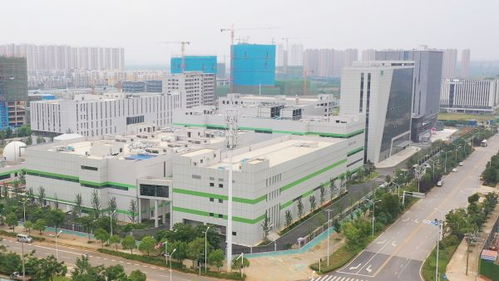 武漢新城 上新 禾元生物智能制造工廠, 稻米造血 進入商業化階段